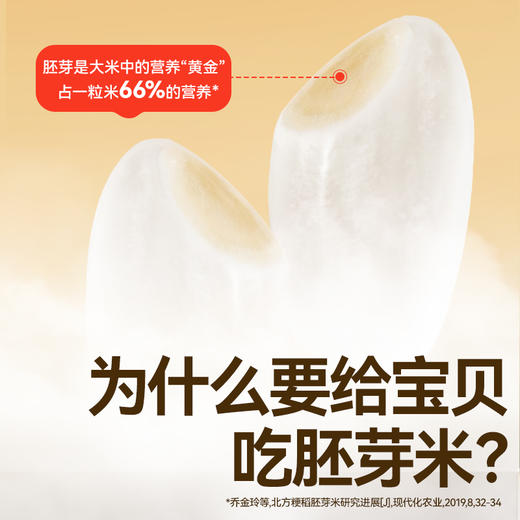 秋田满满 有机胚芽米300g（米砖)工程北米  [6月+]【5月早餐团】 商品图1