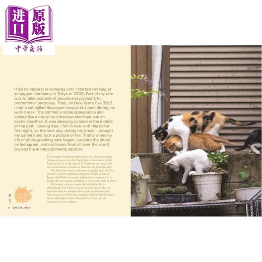 【中商原版】Neko: Cats of Japan 进口艺术 Neko：日本的猫 商品图1
