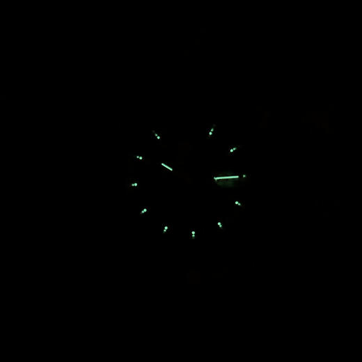 【95新】TUDOR帝舵M76213-0034自动机械日期显示、星期显示36MM（男款）王子与公主系列 精钢（18k黄金表圈）220426NJS14 商品图9