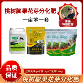 桃树膨果花芽分化肥