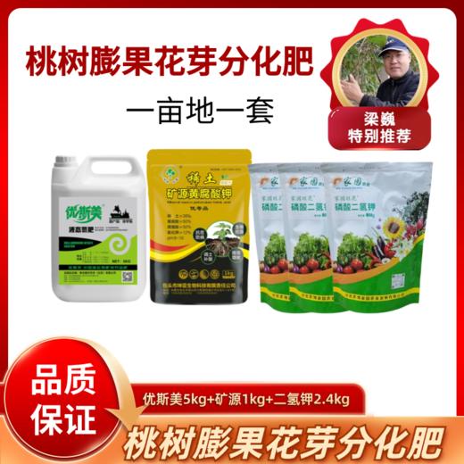 桃树膨果花芽分化肥 商品图0