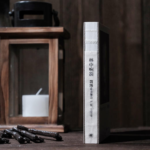 林中响箭 苗炜 著 商品图10