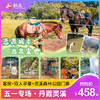 【五一专场~丹霞灵溪】深山藏美景，458元起入住丹霞灵溪明月谷客房+美味早餐+双人大门票+单程缆车/小火车，世外桃园，五一家庭出游首选！（使用日期：2026年5月1日-5月5日） 商品缩略图0