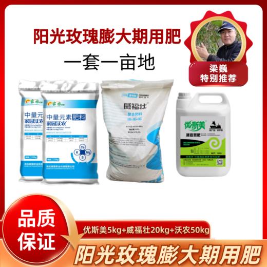 阳光玫瑰膨大期用肥  一套可用一亩地 商品图0