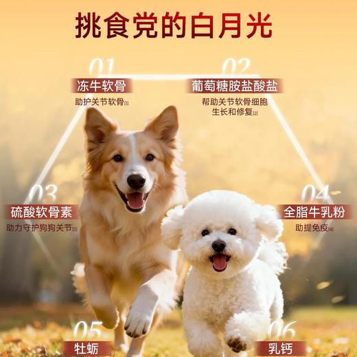新品【鲜肉多拼犬粮】高鲜肉口口肉香 益生菌+双益生元养肠胃助护玻璃胃 6效协同助养强壮体格 喷雾血浆蛋白粉助力狗狗健康成长 商品图3