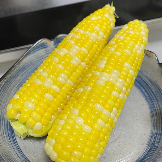【多送3根！！】云南冰糖水果玉米丨籽粒饱满多汁，一口爆浆，清甜少渣，生熟两吃，甜似冰糖，既有水果的甜度，又有粗粮的营养，老少皆宜的优质生鲜食品。⭐️顺丰快递 商品图4