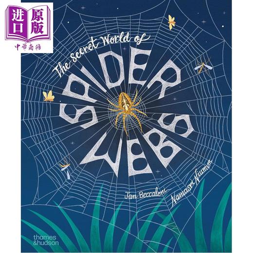 【中商原版】蜘蛛网的秘密世界 The Secret World of Spider Webs 英文原版 儿童科普绘本 科学知识 精美插图 进口童书 精装 商品图0