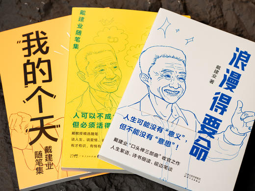 戴建业“口头禅三部曲”：《你听懂了没有》《我的个天》《浪漫得要命》，入选“感动中国年度人物”，三本书治愈千万人的精神内耗，当代人必读的“人间清醒”，篇篇有看点、句句有洞见 商品图1