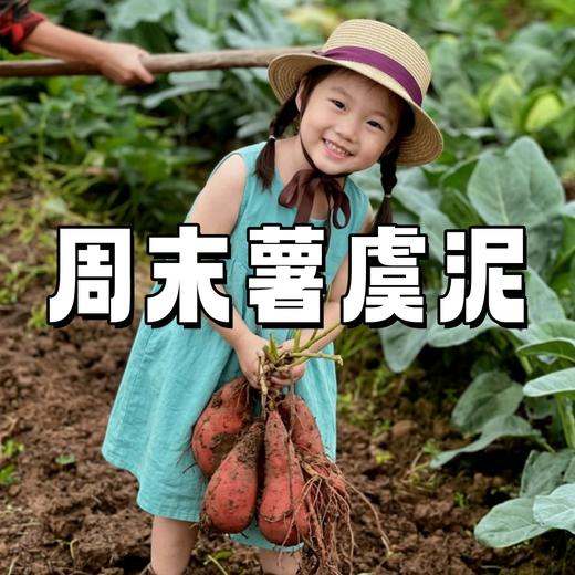 【亲子营】薯与泥的童年｜上虞一日古道轻徒步×田野烤薯 商品图0