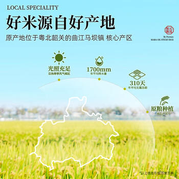 舶元（Poyuan）马坝油粘米10斤广东油粘米煲仔饭专用米软香大米地标米团购送礼 /粮油调味 /米 /油粘米 商品图3