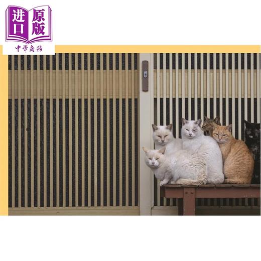 【中商原版】Neko: Cats of Japan 进口艺术 Neko：日本的猫 商品图2
