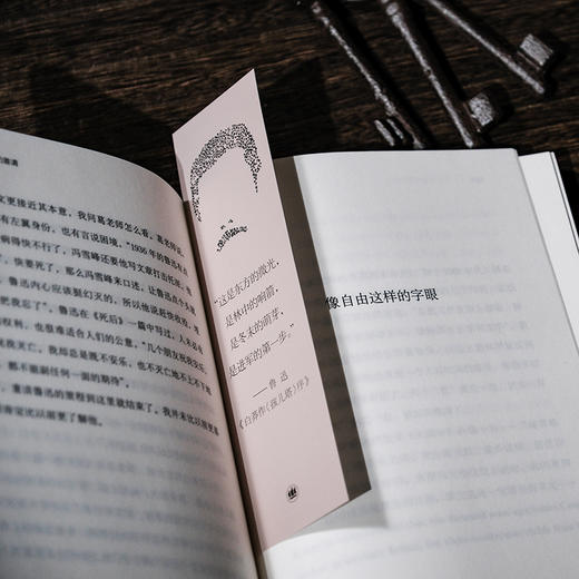 林中响箭 苗炜 著 商品图9