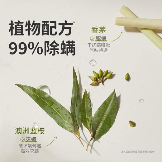 【云优选】绿鼻子除螨喷雾剂床上除螨杀菌专用家用被子免洗宿舍抑菌除螨神器 商品图1