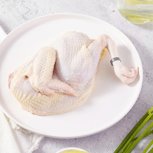 广东地标清远鸡/清远老母鸡/盐焗清远鸡/清远鸡小公鸡/鲜鸡蛋 白切炖汤都好吃 商品图1