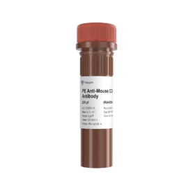 流式抗体 PE Anti-Mouse CD4 Antibody