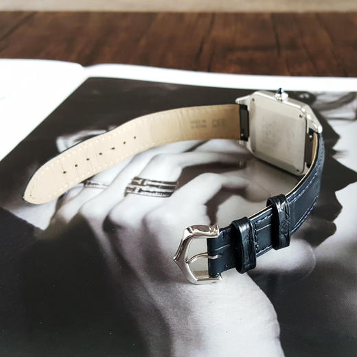 【95新】CARTIER卡地亚WSSA0022石英31*43MM（中性款）山度士系列  精钢160426AK59 商品图5