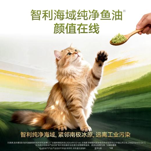 新品【鸡肉猫草鲜蒸饭】主食猫饭 天然猫草温和排毛 原汁原味慢蒸工艺 智利海域纯净鱼油 助力结实长肉 口口鲜嫩助力结实长肉 商品图3