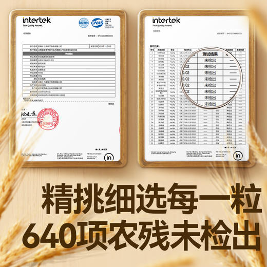 秋田满满 有机胚芽米300g（米砖)工程北米  [6月+]【5月早餐团】 商品图2