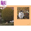 【中商原版】Neko: Cats of Japan 进口艺术 Neko：日本的猫 商品缩略图4