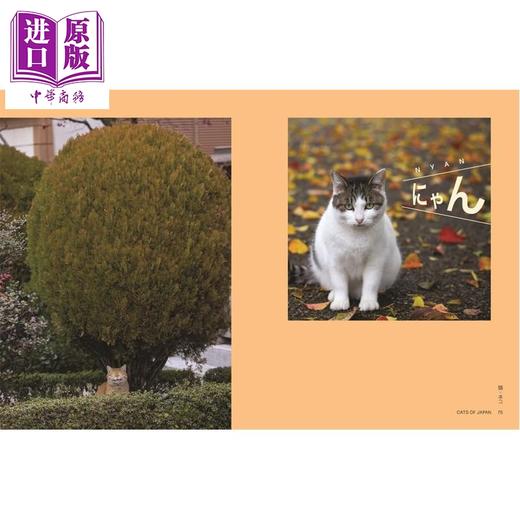 【中商原版】Neko: Cats of Japan 进口艺术 Neko：日本的猫 商品图4