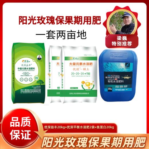 阳光玫瑰保果期用肥  一套可用两亩地 商品图0