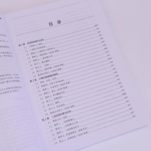 GESP编程能力等级认证一本通（C++ 三级）青少年编程 信息学竞赛 少儿编程 算法入门 商品图1