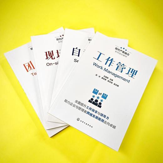 现场管理 商品图1