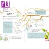 【中商原版】冬季户外指南 A Field Guide to Winter 英文原版 儿童科普绘本 袖珍版的冬季入门读物 自然知识 进口童书 精装 商品缩略图4