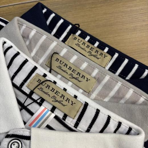 F042427万针刺绣工艺男士条纹休闲商务POLO衫夏季打底衫T恤 商品图4