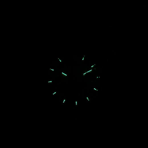 【95新】TUDOR帝舵M76213-0016自动机械日期显示、星期显示36MM（男款）王子与公主系列  精钢（18k黄金表圈）080426TJ14 商品图8