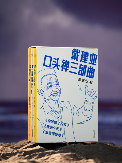 戴建业“口头禅三部曲”：《你听懂了没有》《我的个天》《浪漫得要命》，入选“感动中国年度人物”，三本书治愈千万人的精神内耗，当代人必读的“人间清醒”，篇篇有看点、句句有洞见 商品图7