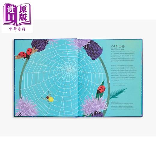 【中商原版】蜘蛛网的秘密世界 The Secret World of Spider Webs 英文原版 儿童科普绘本 科学知识 精美插图 进口童书 精装 商品图3