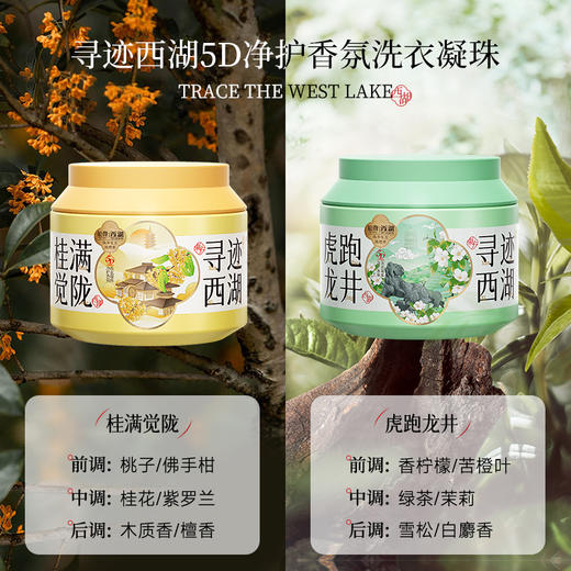 行走的烟雨江南香！“中华老字号 下单赠体验装” 【船牌 5D寻迹西湖洗衣凝珠】 5合1持久留香 虎跑龙井/桂满觉陇 感受烟雨江南 寻一抹独特香味 穿西湖香 品江南美 25颗/盒 商品图2