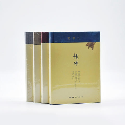 【预售6月20日发货】杨绛文集四册：我们仨+将饮茶+杂忆与杂写2种 商品图1