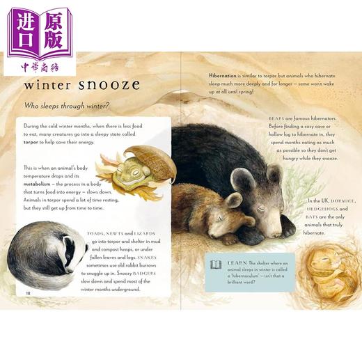 【中商原版】冬季户外指南 A Field Guide to Winter 英文原版 儿童科普绘本 袖珍版的冬季入门读物 自然知识 进口童书 精装 商品图2