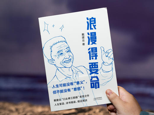 戴建业“口头禅三部曲”：《你听懂了没有》《我的个天》《浪漫得要命》，入选“感动中国年度人物”，三本书治愈千万人的精神内耗，当代人必读的“人间清醒”，篇篇有看点、句句有洞见 商品图4