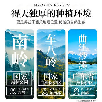 舶元（Poyuan）马坝油粘米10斤广东油粘米煲仔饭专用米软香大米地标米团购送礼 /粮油调味 /米 /油粘米 商品图1