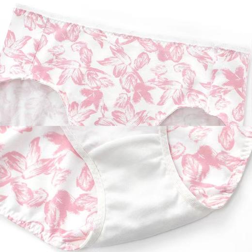 【内衣店庆提前购】【199元5条】3楼安莉芳旗下E-BRA女士棉质内裤KP1068F（5条装）吊牌价439元现价199元 商品图4