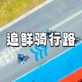 【亲子营】骑行解锁启东“最鲜公路”，赶海、挖蛤蜊、捉螃蟹，让海风、浪涛相伴，超自由！