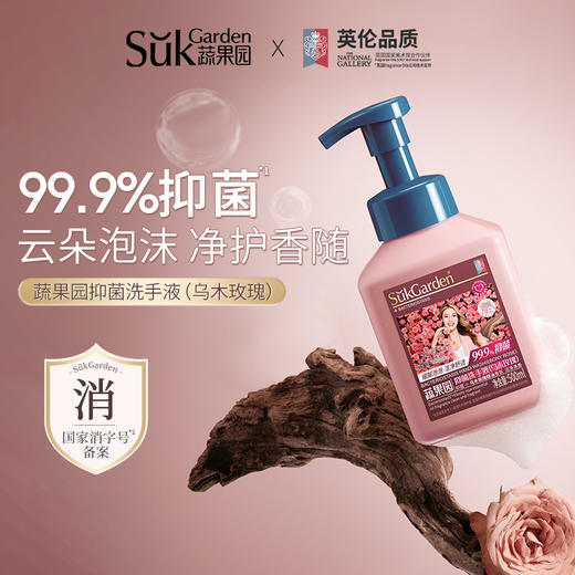 新升级乌木玫瑰除菌洗手液🌹高品质【蔬果园茶香泡泡洗手液】 高级山茶香  幽幽清香源远流长 按压泵绵密泡泡 商品图0
