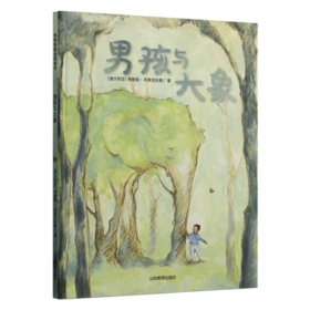 男孩与大象