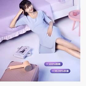 松下（Panasonic）手持电熨斗GHD010