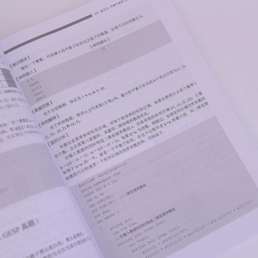 GESP编程能力等级认证一本通（C++ 四级）青少年编程 信息学竞赛 少儿编程 商品图3