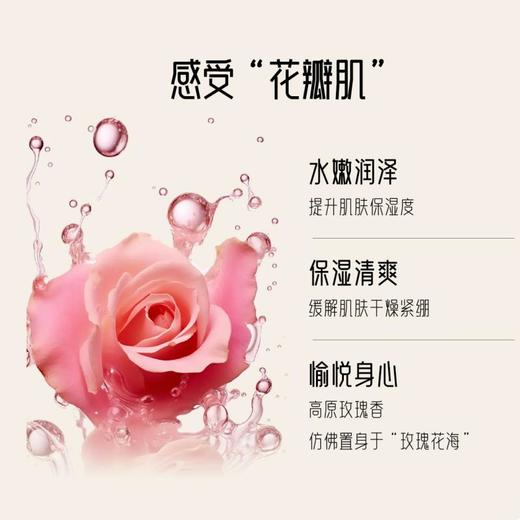 【纯净配方】佰草童话 玫瑰纯露 500ml/瓶*2瓶 深入沁润肌肤柔嫩透亮 商品图4
