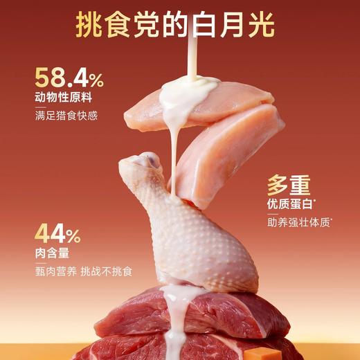 新品【鲜肉多拼犬粮】高鲜肉口口肉香 益生菌+双益生元养肠胃助护玻璃胃 6效协同助养强壮体格 喷雾血浆蛋白粉助力狗狗健康成长 商品图1