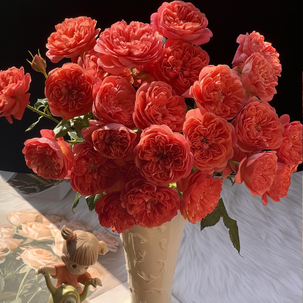 【AB级红果汁多头玫瑰.第二件减10元】5支/份  长约55-60cm