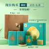 【2026年新茶】八马茶业 | 抱春系列安吉白茶单罐装80克*2罐 商品缩略图4