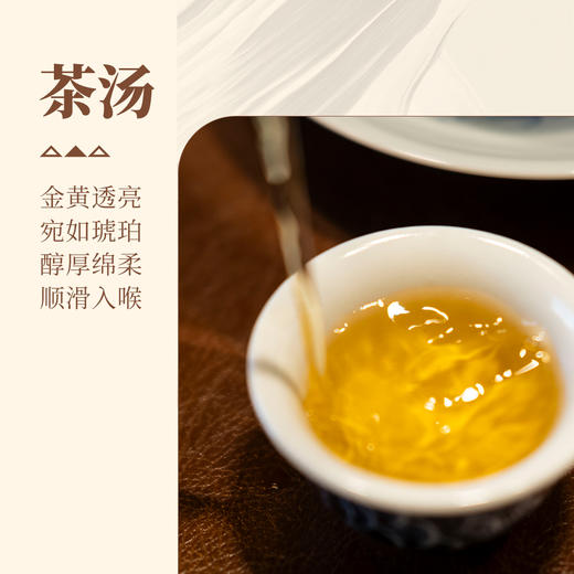 【甘活坊】老枞漳平水仙200g 商品图3