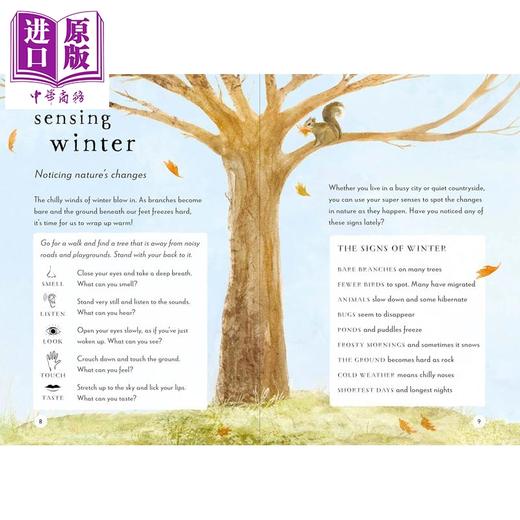 【中商原版】冬季户外指南 A Field Guide to Winter 英文原版 儿童科普绘本 袖珍版的冬季入门读物 自然知识 进口童书 精装 商品图1