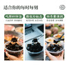 梧州双钱龟苓膏本草源制易拉罐礼盒250克*12罐装 商品缩略图2